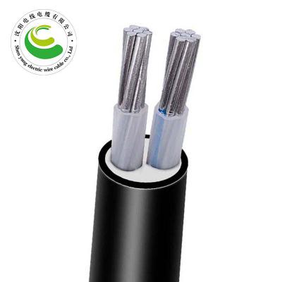 2芯  VLV  2*10mm²--2*35mm² 阻燃铝芯聚乙烯绝缘聚氯乙烯护套电力电缆 铝芯电力电缆